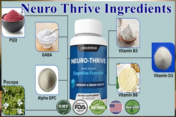 Neuro Thrive Ingredients